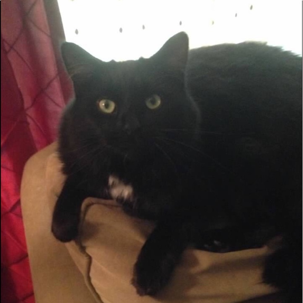 Meet your Posher, Mya